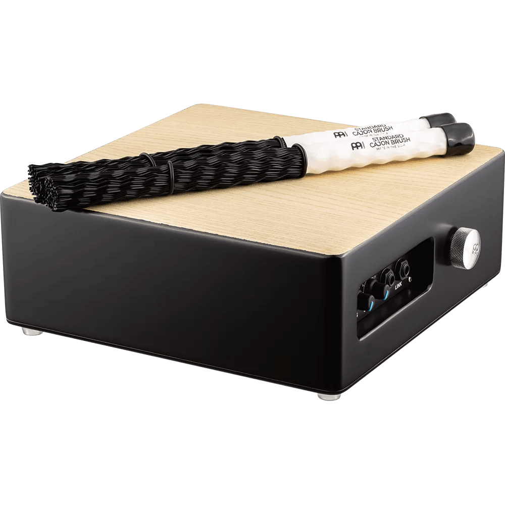 MEINL PERCUSSN TMPPCS Professional Pickup Cajon Snare w/ Cajon Brush Pair - Ray's Midbell Music