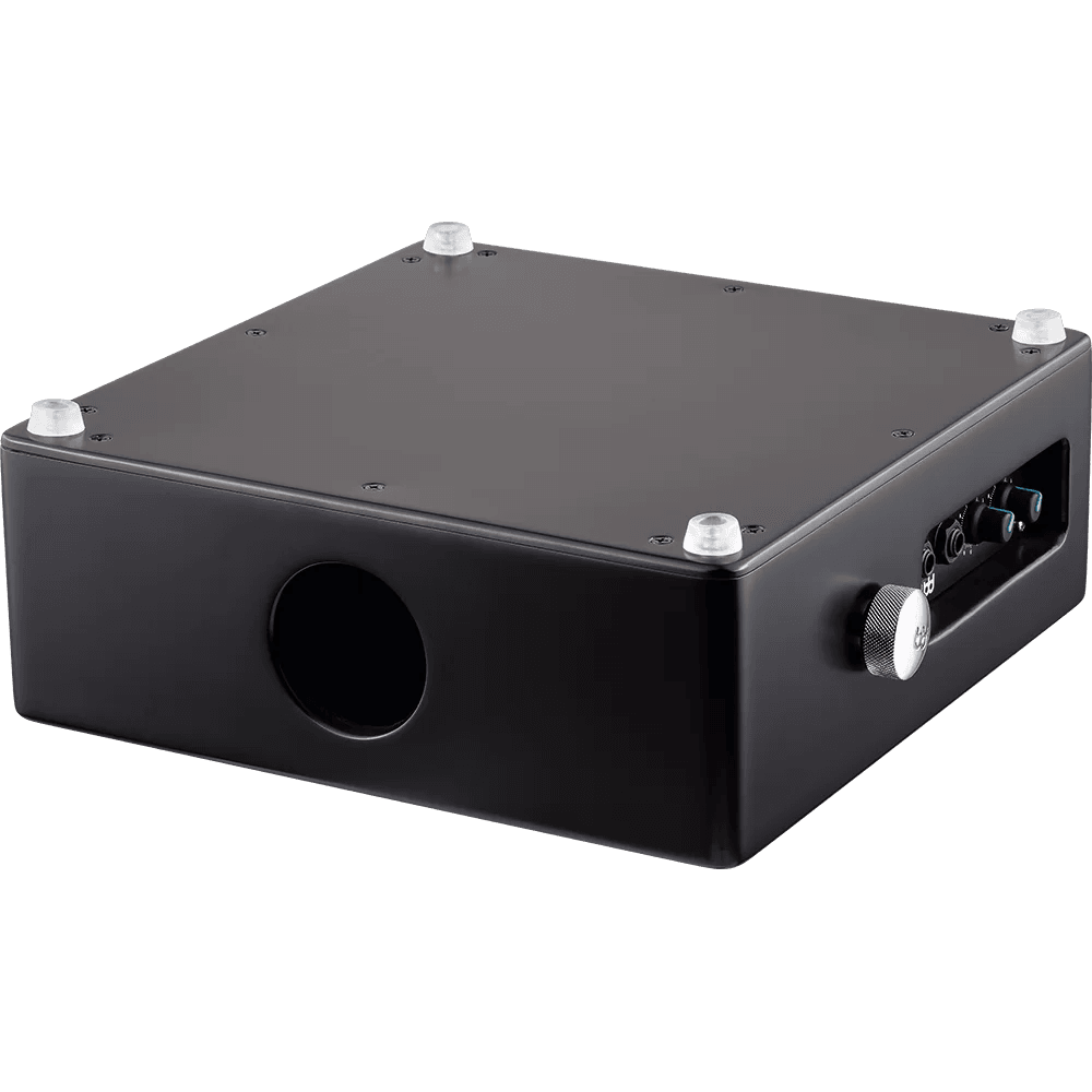 MEINL PERCUSSN TMPPCS Professional Pickup Cajon Snare w/ Cajon Brush Pair - Ray's Midbell Music