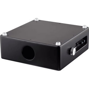 MEINL PERCUSSN TMPPCS Professional Pickup Cajon Snare w/ Cajon Brush Pair - Ray's Midbell Music