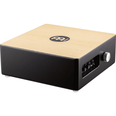 MEINL PERCUSSN TMPPCS Professional Pickup Cajon Snare w/ Cajon Brush Pair - Ray's Midbell Music