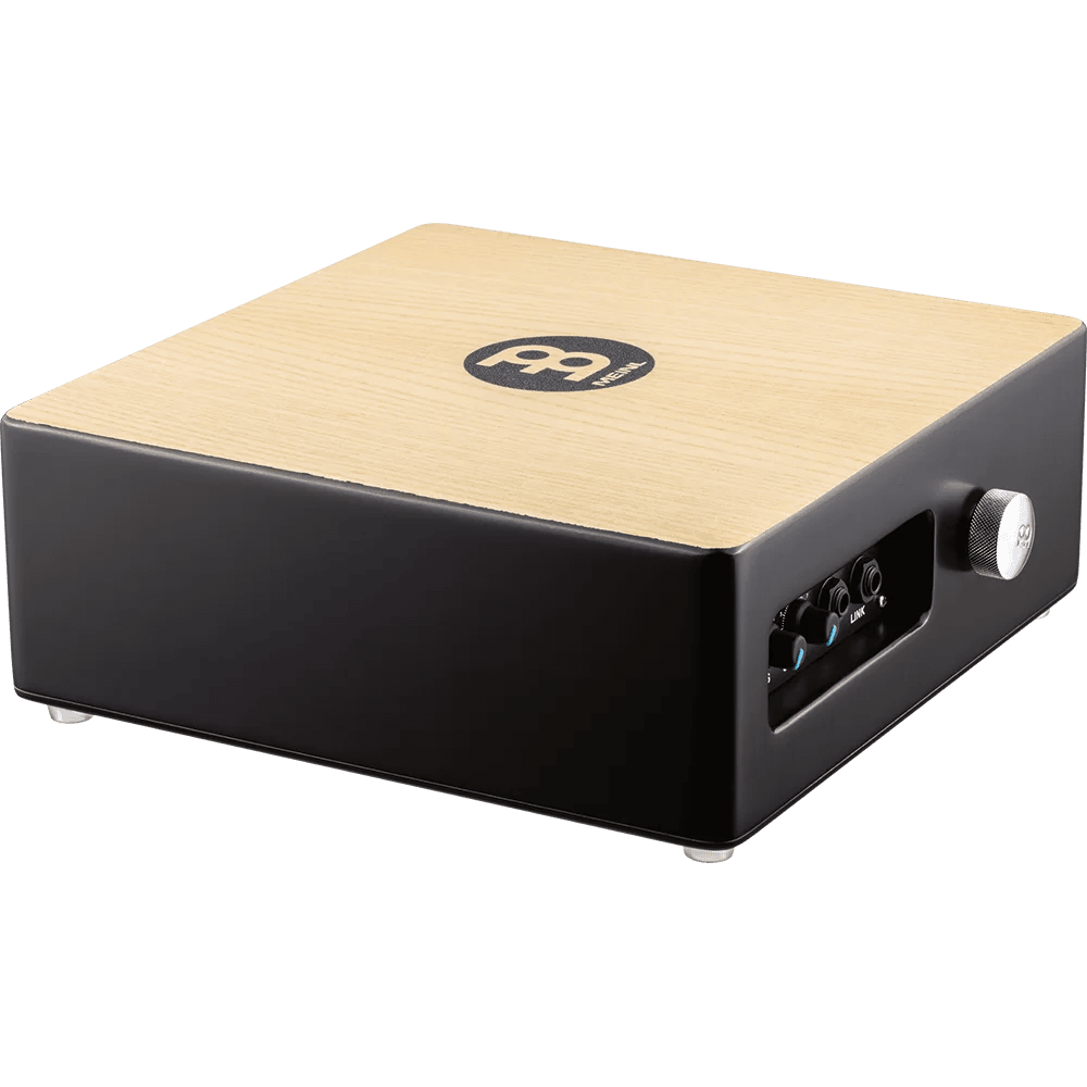 MEINL PERCUSSN TMPPCS Professional Pickup Cajon Snare w/ Cajon Brush Pair - Ray's Midbell Music