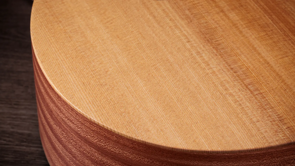 Taylor 14CE Grand Auditorium Single Cut A/E Guitar (Solid Spruce Top)