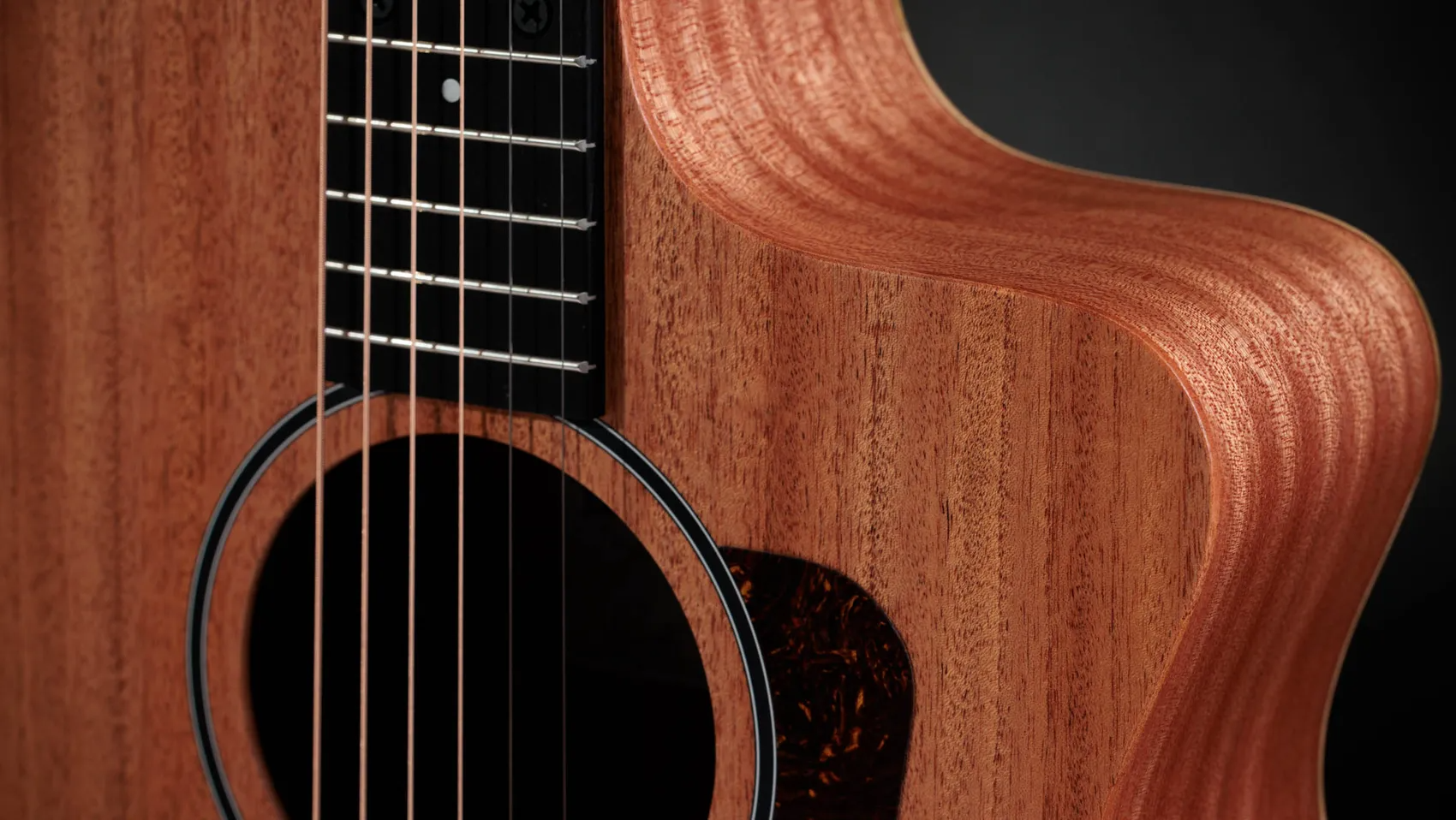 Taylor 24CE Grand Auditorium Single Cut A/E Guitar (Natural Mahogany)