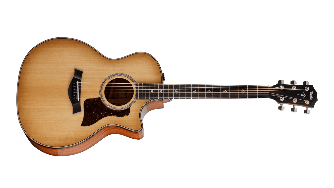 Taylor 514ce Grand Auditorium Acoustic/Electric Guitar