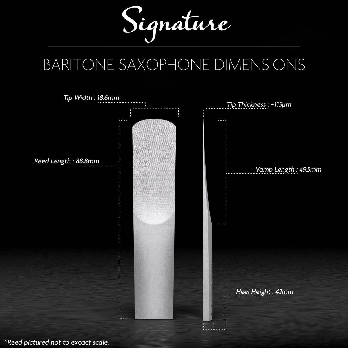 LEGERE LEBSS250 #2.5 Signature Baritone Saxophone Reed - Ray's Midbell Music