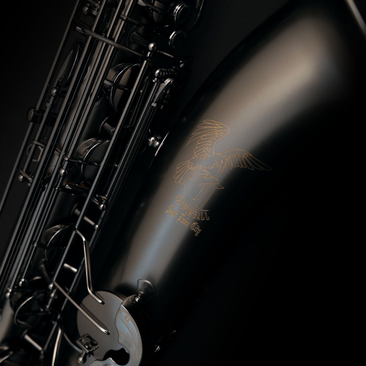 CANNONBALL T5BICEB Big Bell Raven Pro Tenor Sax, Stone Series