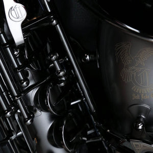 CANNONBALL A5BICEB Big Bell Raven Pro Alto Sax, Stone Series - Ray's Midbell Music