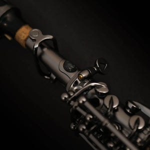 CANNONBALL A5BICEB Big Bell Raven Pro Alto Sax, Stone Series - Ray's Midbell Music