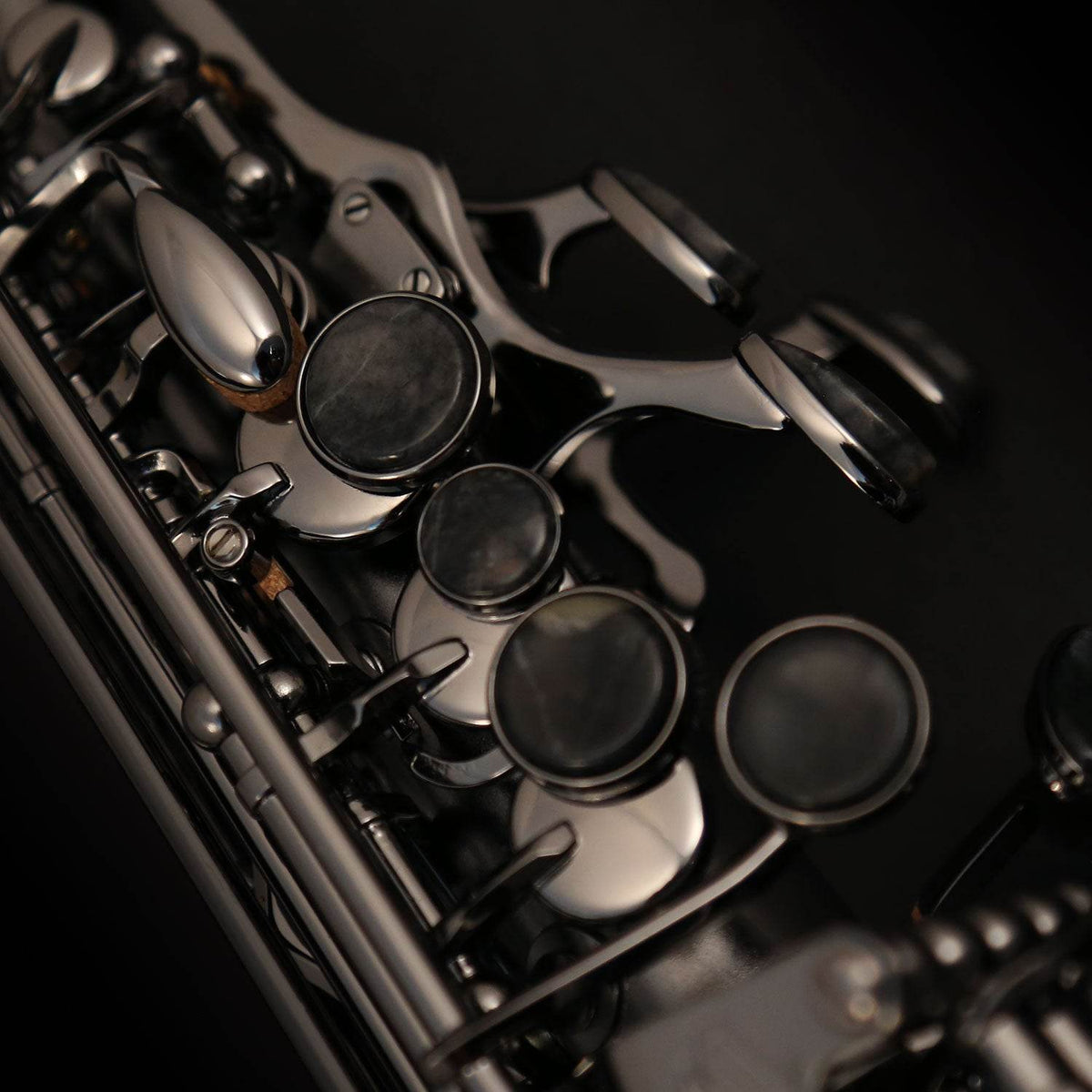 CANNONBALL A5BICEB Big Bell Raven Pro Alto Sax, Stone Series - Ray's Midbell Music