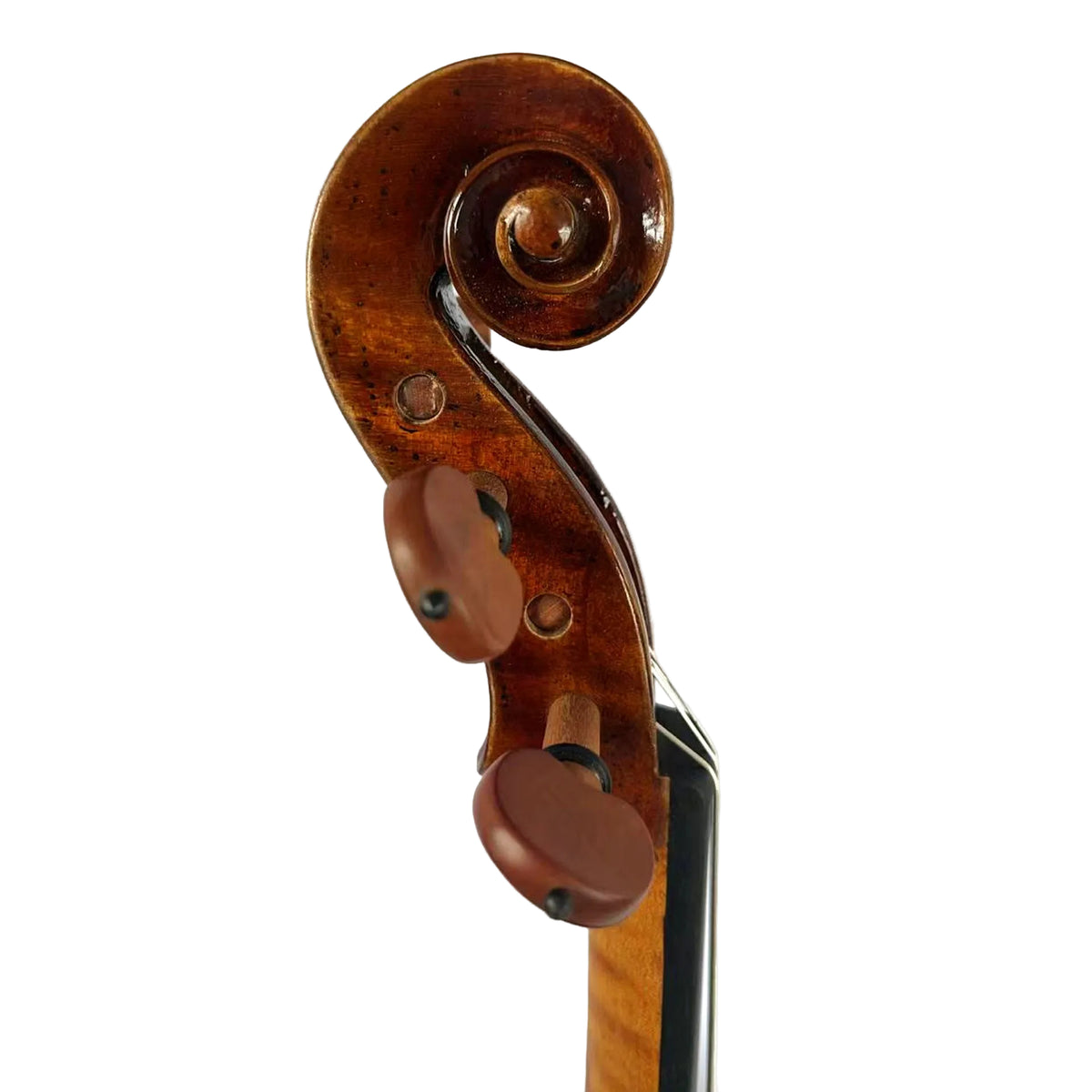 Cedar Music CDVLN44OFT 4/4 CD Cedar Music Violin Outfit w/Soft Case & Carbon Fiber Composite Bow