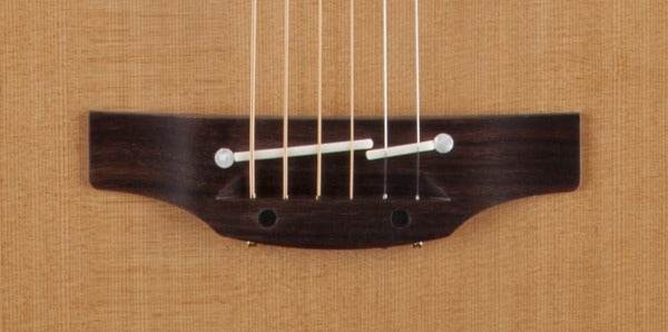 Takamine JTAKP3DC Dreadnought A/E Guitar with Solid Cedar Top and Solid Sapele Back with Semi-Hard Case - Ray's Midbell Music