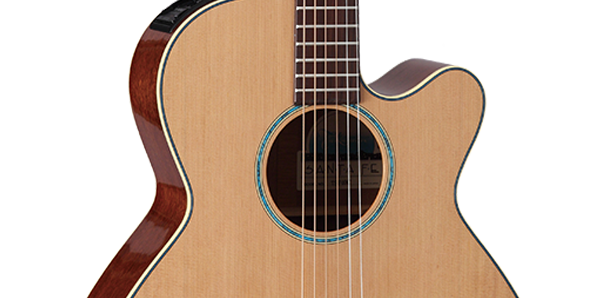 Takamine JTAKTSF40C Professional NEX Acoustic/Electric Guitar w/ Case
