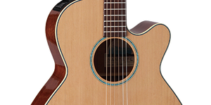 Takamine JTAKTSF40C Professional NEX Acoustic/Electric Guitar w/ Case