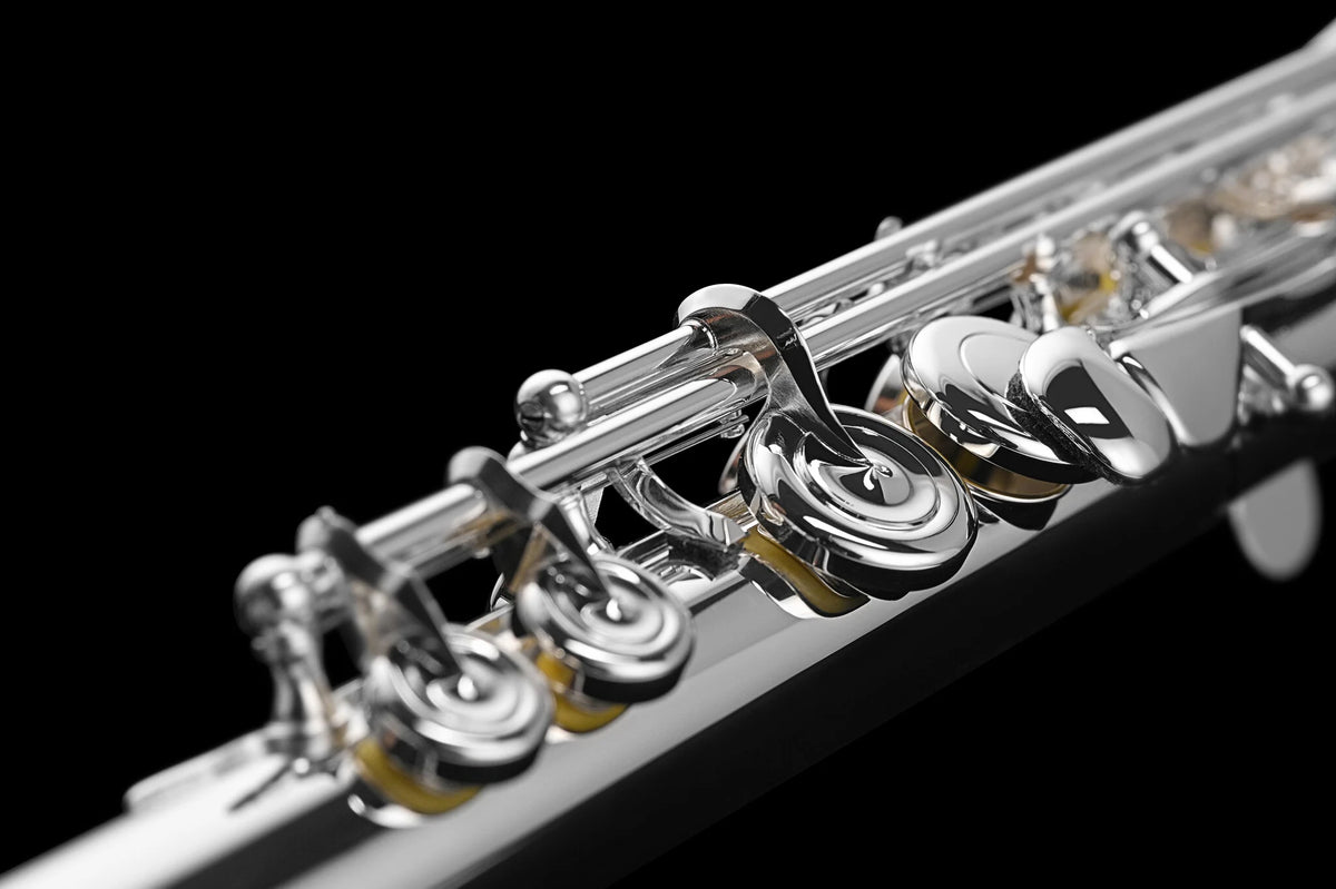 Di Zhao DZ801BEFC#D#10KGR Professional Flute, Split E, C# Trill, D# Roller, 10K Gold Riser
