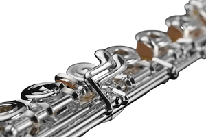 Di Zhao DZ801BEFC#D#10KGR Professional Flute, Split E, C# Trill, D# Roller, 10K Gold Riser