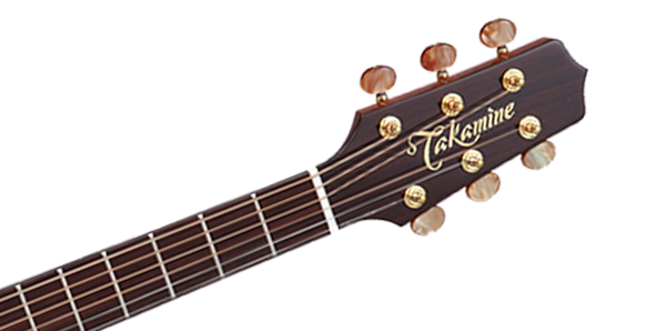 Takamine JTAKTSF40C Professional NEX Acoustic/Electric Guitar w/ Case