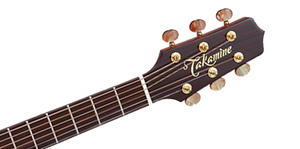 Takamine JTAKTSF40C Professional NEX Acoustic/Electric Guitar w/ Case