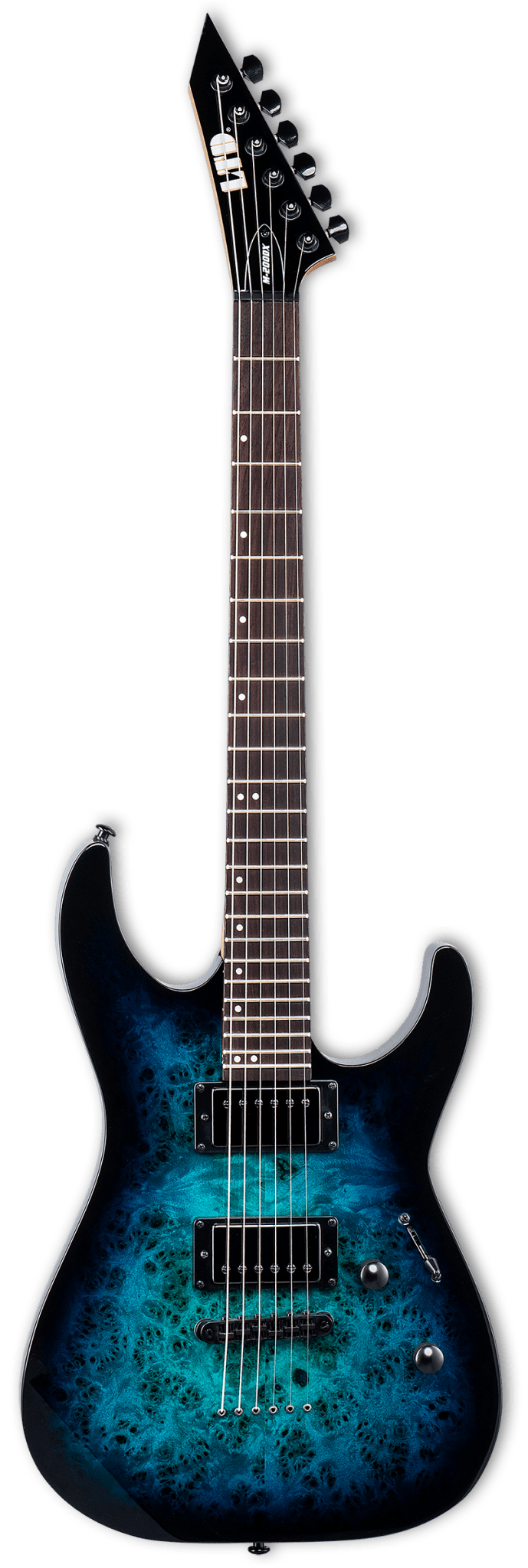 ESP LEC200DXBLB DX Series Flametop Singlecut Electric Guitar (Blue Burst) - Ray's Midbell Music