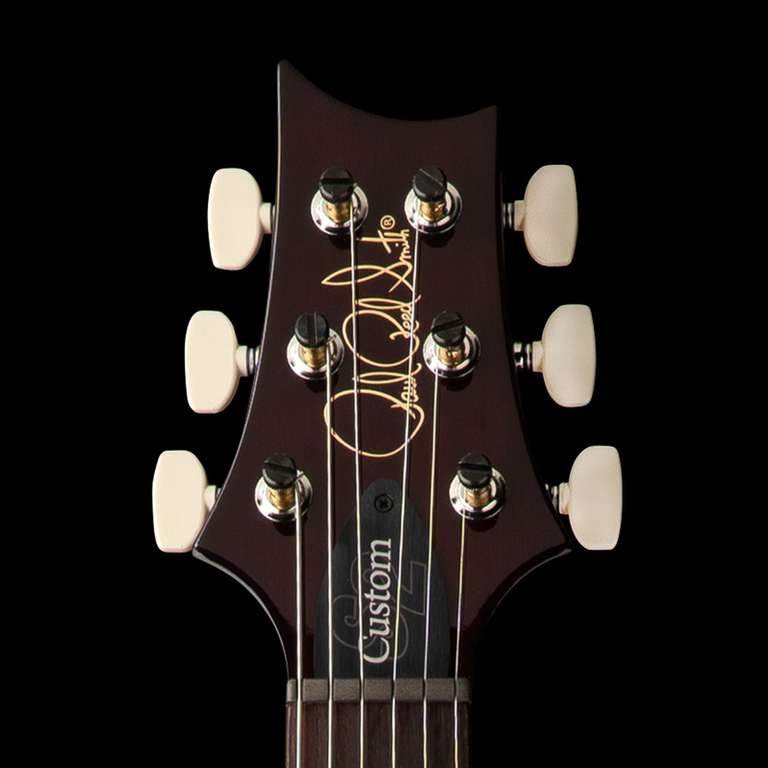 PRS 112819GW S2 Custom 24-08 Double Cut Electric Guitar ( Faded Gray Black Blue Burst ) - Ray's Midbell Music