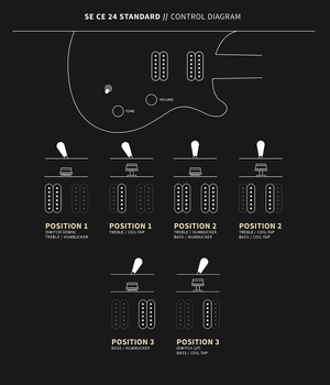 PRS 113130MD SE CE24 Standard Satin Double Cut Electric Guitar ( Metallic Gold ) - Ray's Midbell Music