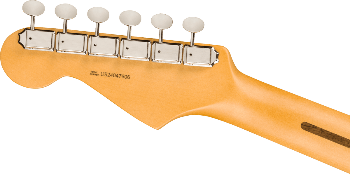 Fender 0114940322 American Professional Classic Stratocaster Electric Guitar (Faded Black) - Ray's Midbell Music