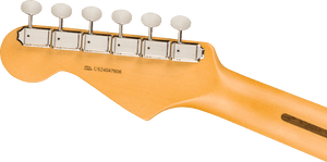 Fender 0114940322 American Professional Classic Stratocaster Electric Guitar (Faded Black) - Ray's Midbell Music