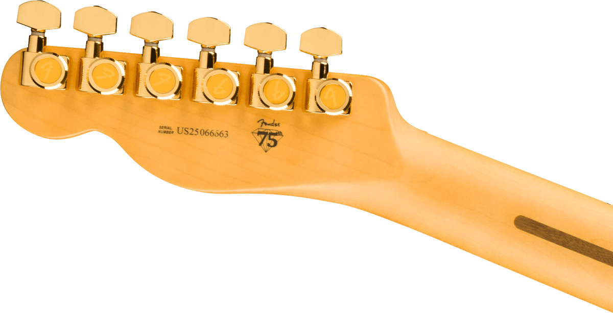 FENDER 0171022703 75th Anniversary American Professional Custom Telecaster Electric Guitar w/ Case ( 2 - Color Sunburst) - Ray's Midbell Music