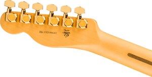FENDER 0171022703 75th Anniversary American Professional Custom Telecaster Electric Guitar w/ Case ( 2 - Color Sunburst) - Ray's Midbell Music