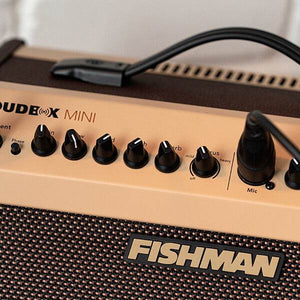 FISHMAN PROLBT500 Loudbox Mini - 60 watts - Ray's Midbell Music