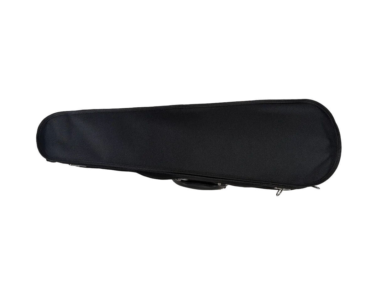 CEDAR MUSIC CORP CMVLNCASE44 4/4 Wood Violin Case, Blue Interior