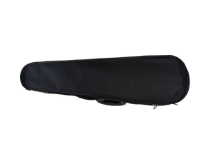 CEDAR MUSIC CORP CMVLNCASE44 4/4 Wood Violin Case, Blue Interior