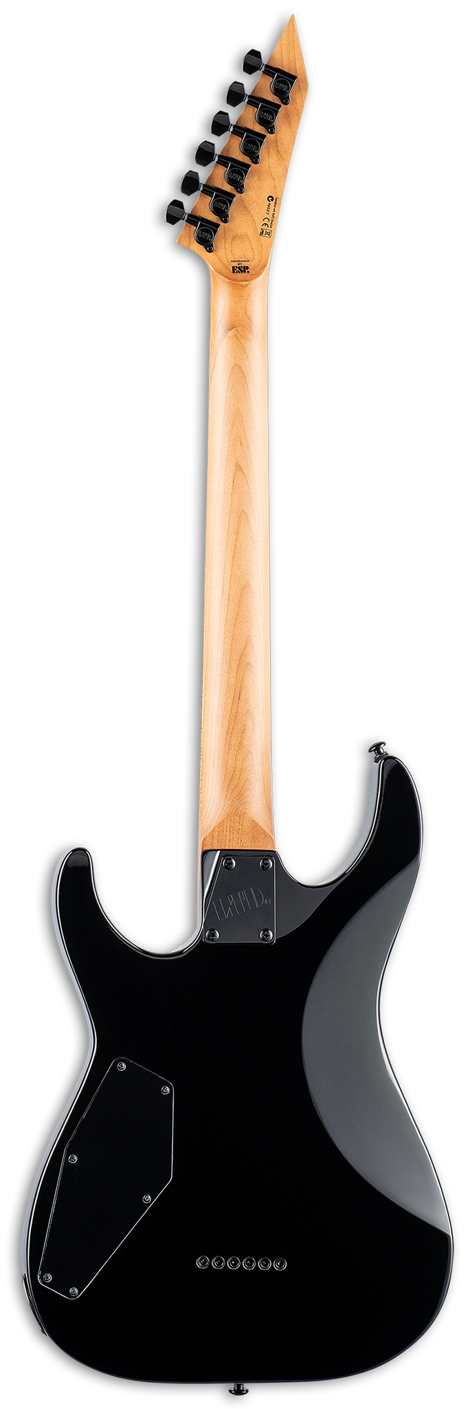 ESP LEC200DXBLB DX Series Flametop Singlecut Electric Guitar (Blue Burst)