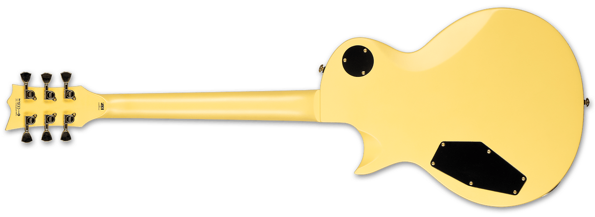 Esp LTD LEC256VGS EC-256 Single Cut Electric Guitar (Vintage Gold Satin) - Ray's Midbell Music