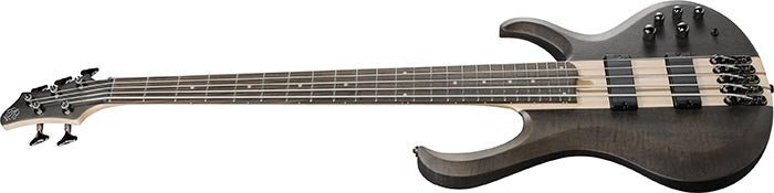 Ibanez BTB605TGF BTB Standard 5 - String Electric Bass Guitar (Transparent Grey Flat)