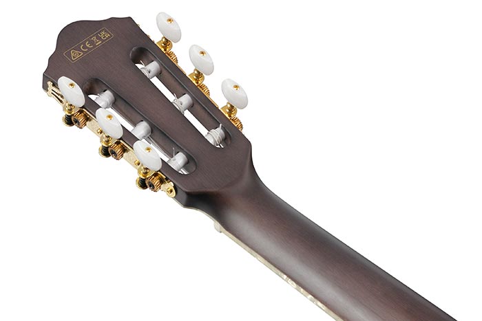 Ibanez TOD10N TIm Henson Signature Nylon A/E Guitar - Ray's