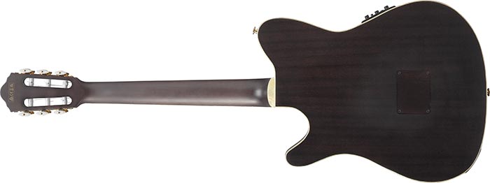 Ibanez TOD10N TIm Henson Signature Nylon A/E Guitar - Ray's