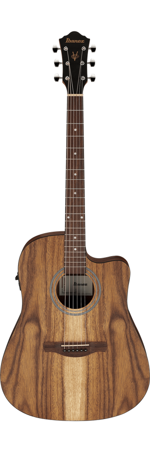 IBANEZ V40WSCEOPBAG Series AIMM Exclusive A/E Guitar (Open Pore Brown)