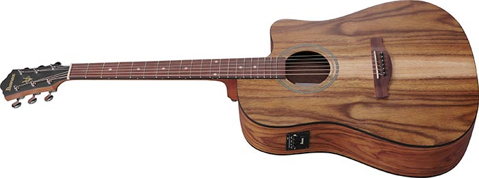IBANEZ V40WSCEOPBAG Series AIMM Exclusive A/E Guitar (Open Pore Brown)