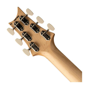 PRS 11281534 NF53 Single Cut Electric Guitar (Jasper Smokeburst) - Ray's Midbell Music