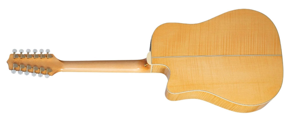 Takamine TAKGD74CE12UNATGB 12 - String, Requinto Strung A/E Dreadnought Guitar w/ Gig Bag - Ray's Midbell Music