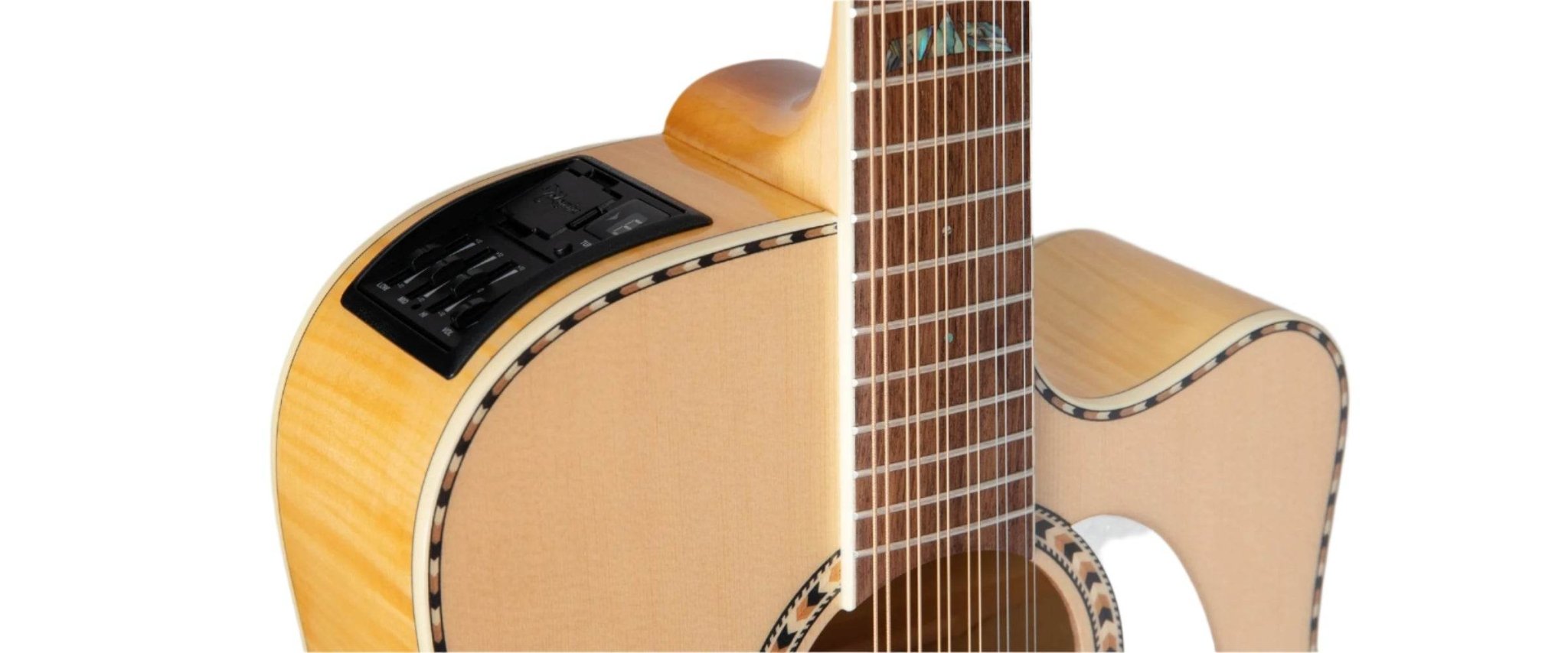 Takamine TAKGD74CE12UNATGB 12 - String, Requinto Strung A/E Dreadnought Guitar w/ Gig Bag - Ray's Midbell Music