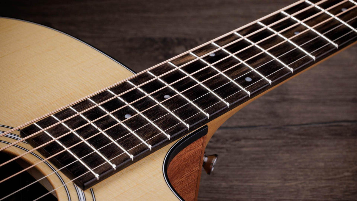 Taylor 110CE 100 Series Single Cut A/E Guitar (Sapele Back and Sides) - Ray's Midbell Music