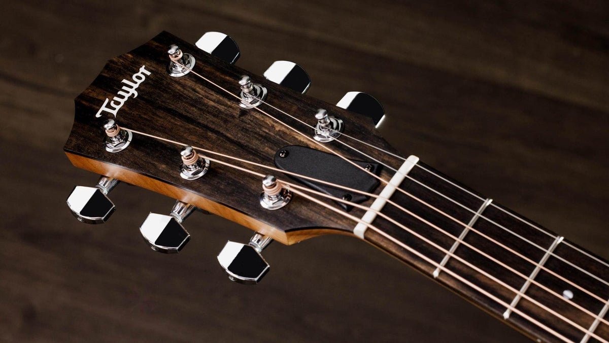 Taylor 110CE 100 Series Single Cut A/E Guitar (Sapele Back and Sides) - Ray's Midbell Music