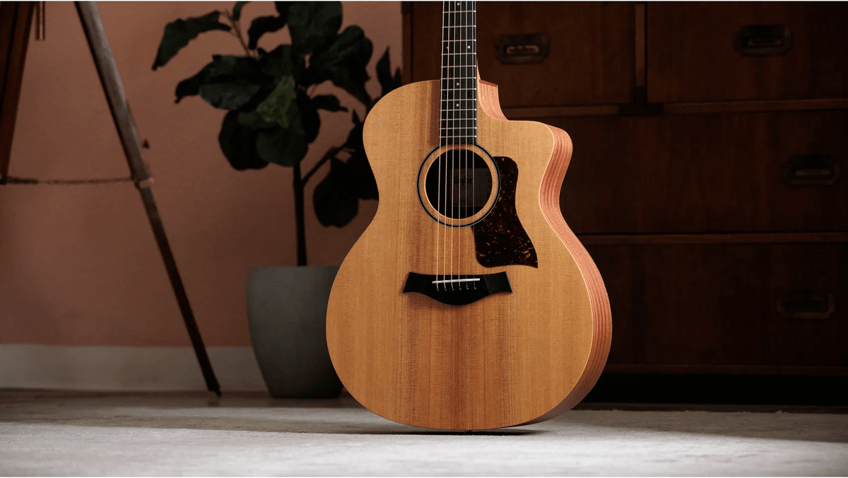 Taylor 14CE Grand Auditorium Single Cut A/E Guitar (Solid Spruce Top) - Ray's Midbell Music