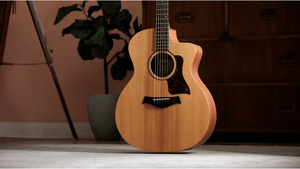 Taylor 14CE Grand Auditorium Single Cut A/E Guitar (Solid Spruce Top) - Ray's Midbell Music