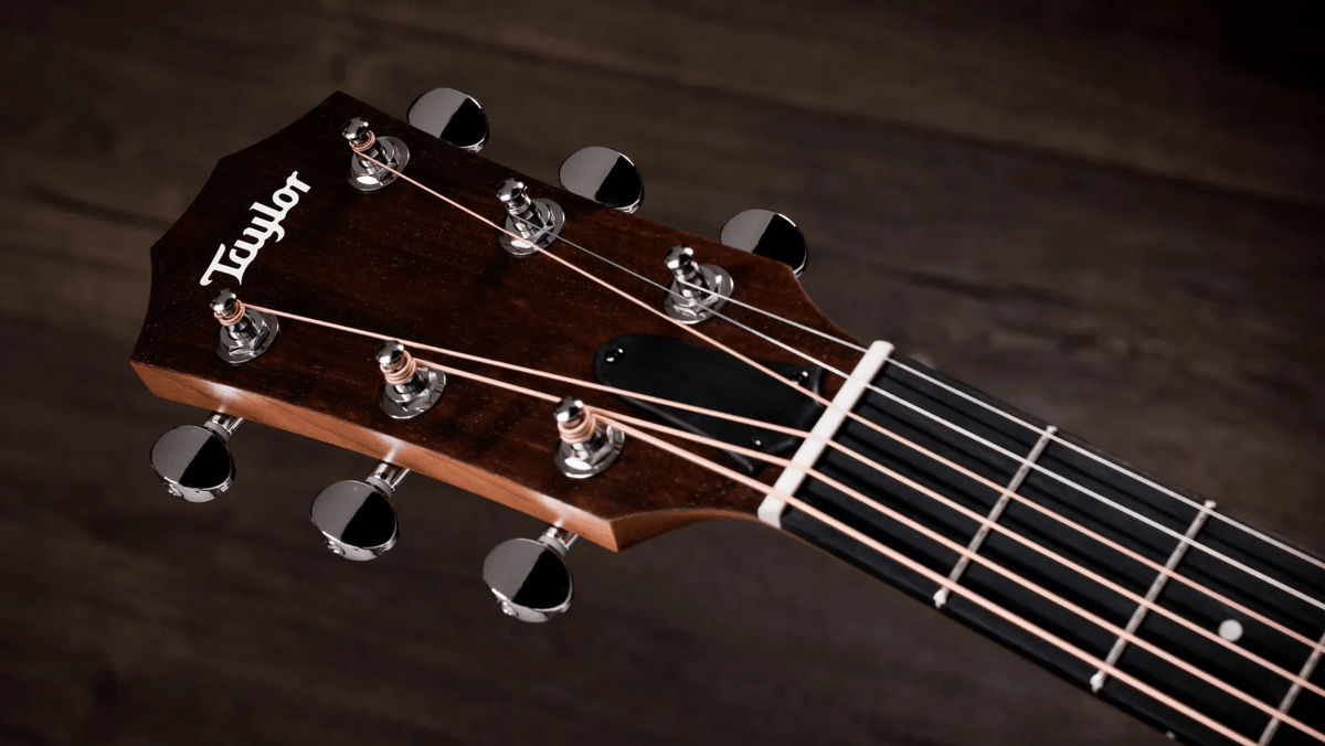 Taylor 14CE Grand Auditorium Single Cut A/E Guitar (Solid Spruce Top) - Ray's Midbell Music
