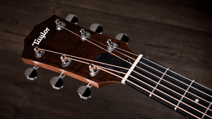 Taylor 14CE Grand Auditorium Single Cut A/E Guitar (Solid Spruce Top) - Ray's Midbell Music