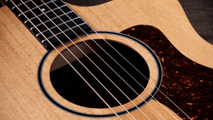 Taylor 14CE Grand Auditorium Single Cut A/E Guitar (Solid Spruce Top) - Ray's Midbell Music