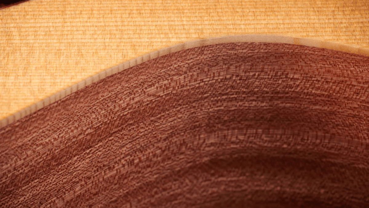 Taylor 14CE Grand Auditorium Single Cut A/E Guitar (Solid Spruce Top) - Ray's Midbell Music