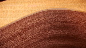 Taylor 14CE Grand Auditorium Single Cut A/E Guitar (Solid Spruce Top) - Ray's Midbell Music